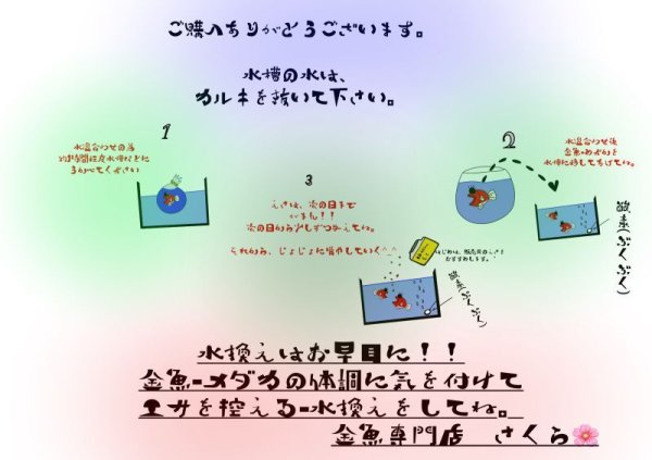 画像3: 購入後の水槽までの流れ・・・ (3)